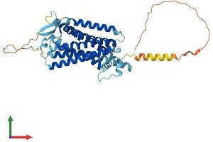Protein Structure (PS) image for Tachykinin Receptor 2 (TACR2) (AA 1-398) protein (His tag) (ABIN7549719)