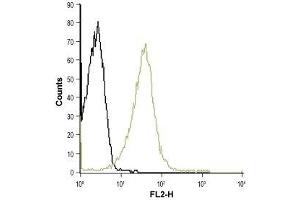 Flow Cytometry (FACS) image for anti-Potassium Voltage-Gated Channel, Shaker-Related Subfamily, Member 3 (KCNA3) (AA 263-276), (Extracellular) antibody (ABIN7043521)