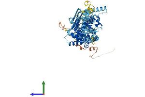 Protein Structure (PS) image for ATP-Binding Cassette, Sub-Family G (WHITE), Member 8 (ABCG8) (AA 1-673) protein (His tag) (ABIN7551764)