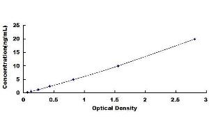 Typical standard curve