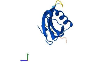 AlphaFold protein structure predicition of Mouse Recombinant Stfa2 Protein, UniprotID P35174