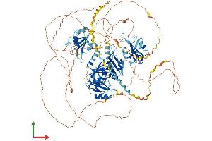 Protein Structure (PS) image for RNA Binding Motif Protein 12 (RBM12) (AA 1-992) protein (His tag) (ABIN7559770)