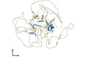 AlphaFold protein structure predicition of Human Recombinant PPARGC1B Protein, UniprotID Q86YN6 (PPARGC1B Protein (AA 1-1023) (His tag))
