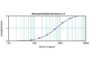 Image no. 1 for anti-Interleukin 3 (IL-3) antibody (Biotin) (ABIN465866) (IL-3 抗体  (Biotin))