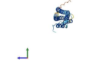Protein Structure (PS) image for CINP (CINP) (AA 1-212) protein (His tag) (ABIN7546546)