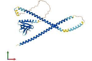 AlphaFold protein structure predicition of Mouse Recombinant Homer3 Protein, UniprotID Q99JP6