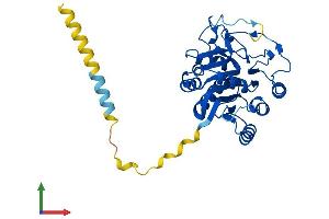 Protein Structure (PS) image for UDP-Gal:betaGal beta 1,3-Galactosyltransferase Polypeptide 6 (B3GALT6) (AA 1-329) protein (His tag) (ABIN7552506)
