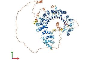 Protein Structure (PS) image for Leucine Rich Repeat Containing 41 (LRRC41) (AA 1-807) protein (His tag) (ABIN7559470)