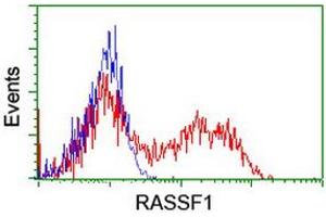 HEK293T cells transfected with either RC213525 overexpress plasmid (Red) or empty vector control plasmid (Blue) were immunostained by anti-RASSF1 antibody (ABIN2454291), and then analyzed by flow cytometry. (RASSF1 抗体  (AA 1-341))