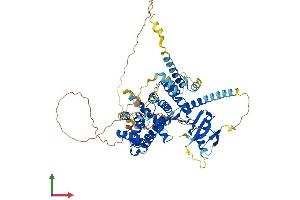 Protein Structure (PS) image for rho GTPase Activating Protein 18 (ARHGAP18) (AA 1-663) protein (His tag) (ABIN7555227)