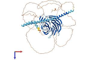 AlphaFold protein structure predicition of Human Recombinant TLE4 Protein, UniprotID Q04727 (TLE4 Protein (AA 1-773) (His tag))