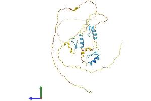 Protein Structure (PS) image for Zinc Finger Protein 414 (ZNF414) (AA 1-312) protein (His tag) (ABIN7545800)