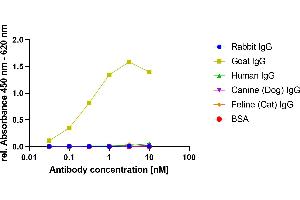 Goat IgG was coated on an ELISA plate at 100 ng. (Recombinant 小鼠 anti-山羊 IgG Antibody)