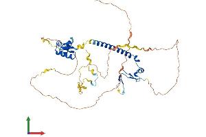 AlphaFold protein structure predicition of Mouse Recombinant E2f2 Protein, UniprotID P56931