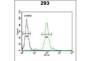 Flow cytometric analysis of 293 cells (right histogram) compared to a negative control cell (left histogram). (FAU 抗体)