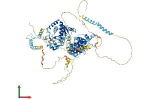 Protein Structure (PS) image for DEAD (Asp-Glu-Ala-Asp) Box Polypeptide 54 (DDX54) (AA 1-881) protein (His tag) (ABIN7553651)