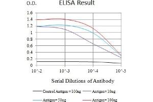 Black line: Control Antigen (100 ng),Purple line: Antigen (10 ng), Blue line: Antigen (50 ng), Red line:Antigen (100 ng) (FCRL3 抗体  (AA 18-153))