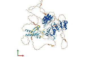 AlphaFold protein structure predicition of Human Recombinant BARD1 Protein, UniprotID Q99728 (BARD1 Protein (AA 1-777) (His tag))