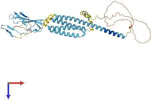 CHRNA7 (Cholinergic Receptor, Nicotinic, alpha 7, Exons 5-10) and FAM7A (Family with Sequence Similarity 7A, Exons A-E) Fusion (CHRFAM7A) (AA 1-412) protein (His tag)