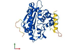 Protein Structure (PS) image for CCR4-NOT Transcription Complex, Subunit 8 (CNOT8) (AA 1-292) protein (His tag) (ABIN7546677)