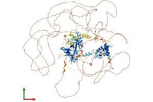 Protein Structure (PS) image for AT Rich Interactive Domain 5B (MRF1-Like) (ARID5B) (AA 1-1188) protein (His tag) (ABIN7552243)
