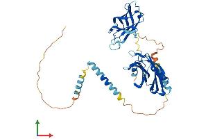 Protein Structure (PS) image for Synaptotagmin I (SYT1) (AA 1-421) protein (His tag) (ABIN7563271)