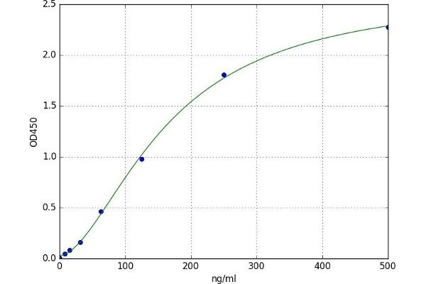 Anti-Thyroid-Globulin Antibody (TGAB) ELISA 试剂盒