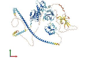 AlphaFold protein structure predicition of Human Recombinant TXNDC11 Protein, UniprotID Q6PKC3