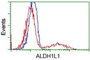 HEK293T cells transfected with either RC213720 overexpress plasmid (Red) or empty vector control plasmid (Blue) were immunostained by anti-ALDH1L1 antibody (ABIN2452743), and then analyzed by flow cytometry. (ALDH1L1 抗体)