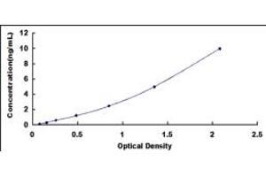 Typical standard curve (SMPD2 ELISA 试剂盒)
