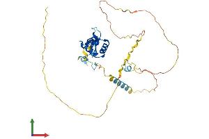 Protein Structure (PS) image for Forkhead Box B1 (FOXB1) (AA 1-325) protein (His tag) (ABIN7547743)
