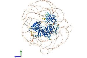 Protein Structure (PS) image for Zinc Finger, FYVE Domain Containing 16 (ZFYVE16) (AA 1-1539) protein (His tag) (ABIN7556069)