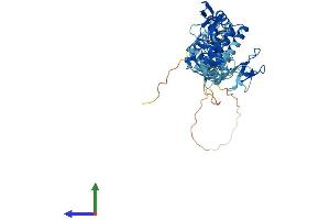 AlphaFold protein structure predicition of Human Recombinant RNF14 Protein, UniprotID Q9UBS8