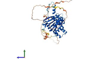 AlphaFold protein structure predicition of Human Recombinant FAM83A Protein, UniprotID Q86UY5 (FAM83A Protein (AA 1-434) (His tag))