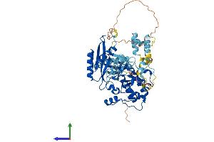Protein Structure (PS) image for Protein Kinase, AMP-Activated, alpha 1 Catalytic Subunit (PRKAA1) (AA 1-559) protein (His tag) (ABIN7551840)