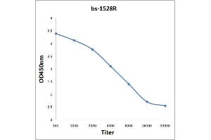Antigen: 0. (Attractin 抗体  (AA 751-850))