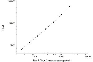 Proliferating Cell Nuclear Antigen (PCNA) CLIA Kit