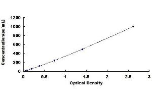 Typical standard curve (IL23A ELISA 试剂盒)