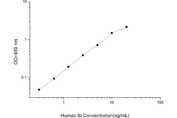 Sucrase Isomaltase ELISA 试剂盒