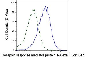 Validation of Collapsin response mediator protein 1 knockdown using flow cytometry. (Recombinant CRMP1 抗体)