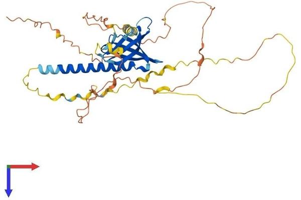 PHLDA1 Protein (AA 1-401) (His tag)