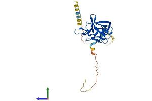 AlphaFold protein structure predicition of Mouse Recombinant Fgf13 Protein, UniprotID P70377