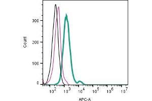 Cell surface detection of CX3CR1 by direct flow cytometry in live intact mouse J774 macrophage cells: + Rabbit IgG Isotype Control-APC (ABIN7582043).