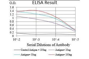 Black line: Control Antigen (100 ng), Purple line: Antigen(10 ng), Blue line: Antigen (50 ng), Red line: Antigen (100 ng), (beta-2 Microglobulin 抗体  (AA 21-100))