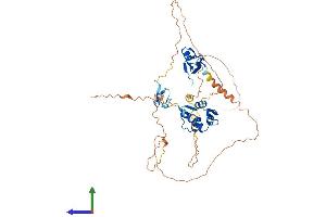 Protein Structure (PS) image for Mdm4-binding Protein (MDM4) (AA 1-489) protein (His tag) (ABIN7562343)