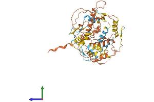 Protein Structure (PS) image for Zinc Finger Protein 597 (ZNF597) (AA 1-424) protein (His tag) (ABIN7545674)
