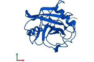 AlphaFold protein structure predicition of Human Recombinant PPIAL4E Protein, UniprotID A0A075B759