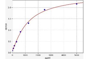 Typical standard curve (TRUB1 ELISA 试剂盒)