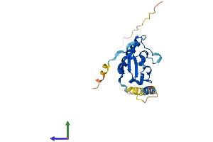 AlphaFold protein structure predicition of Mouse Recombinant Pgrmc2 Protein, UniprotID Q80UU9