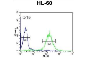 Flow Cytometry (FACS) image for anti-Cbl Proto-Oncogene B, E3 Ubiquitin Protein Ligase (CBLB) antibody (ABIN3003861) (Cbl Proto-Oncogene B, E3 Ubiquitin Protein Ligase (CBLB) 抗体)
